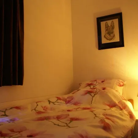 Alpstuga T'bakkersboschje Nummer 11 *