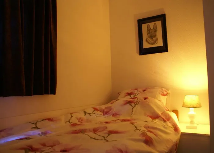 Alpstuga T'bakkersboschje Nummer 11 *